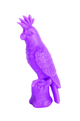 Small Parrot Candle in Radiant Orchid design by SunnyLIFE